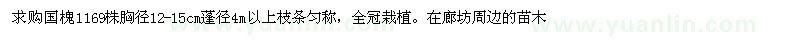 求購(gòu)胸徑12-15公分蓬徑4米以上國(guó)槐