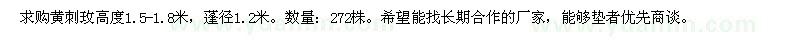 求購高度1.5-1.8米、蓬徑1.2米黃刺玫