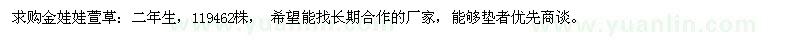 求購金娃娃萱草