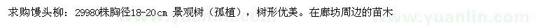 求購饅頭柳