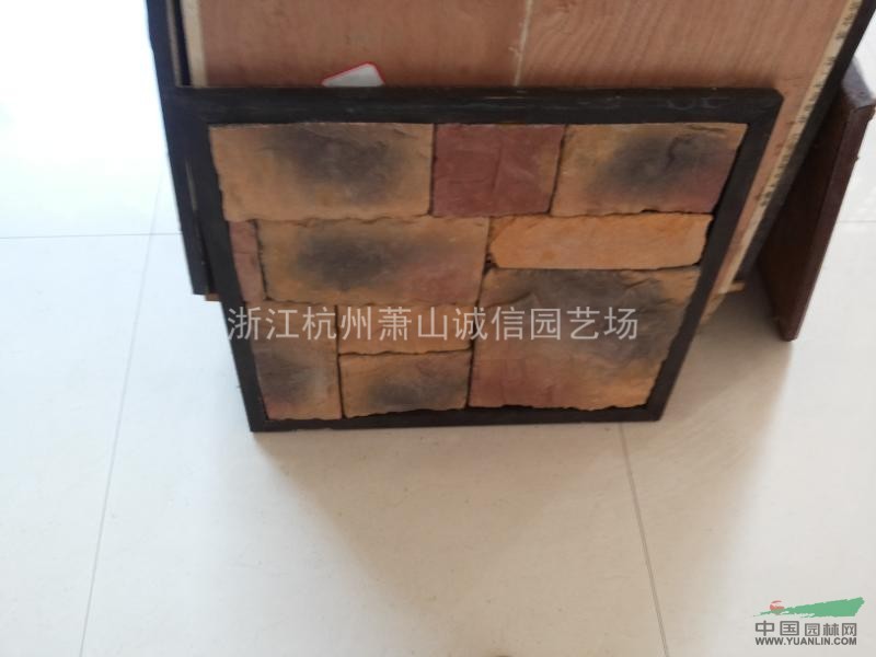 浙江地区文化石，散石