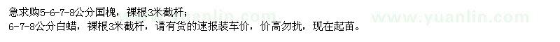 求購國槐、白蠟