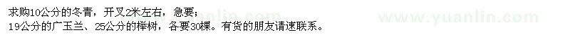 求購(gòu)冬青、廣玉蘭、櫸樹(shù)