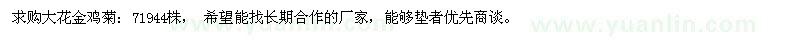 求購(gòu)大花金雞菊