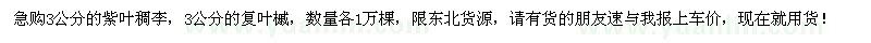 求購3公分紫葉稠李、復(fù)葉槭