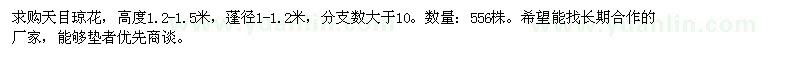 求購高1.2-1.5米天目瓊花