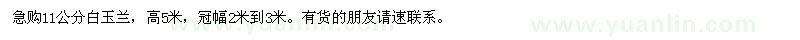 求購11公分白玉蘭