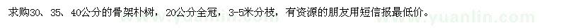 求購30、35、40公分骨架樸樹