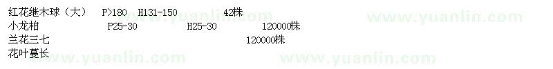 求購(gòu)小龍柏、蘭花三七、花葉蔓長(zhǎng)春