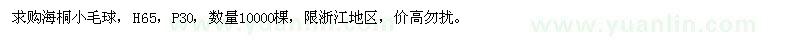 求購海桐小毛球