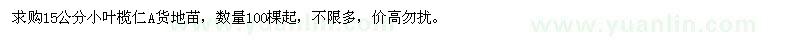 求購15公分小葉欖仁A貨地苗