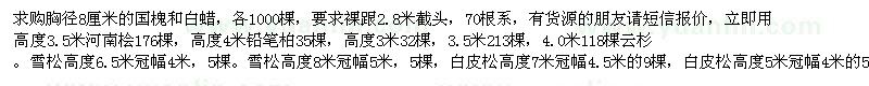 求購國槐、白蠟、河南檜等
