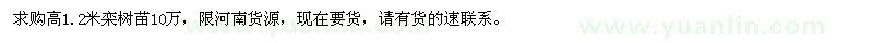 求購高1.2米欒樹苗