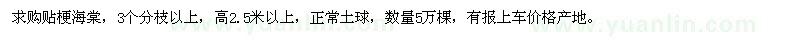 求購(gòu)貼梗海棠
