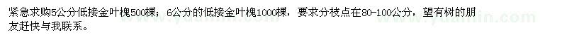 求購低接金葉槐
