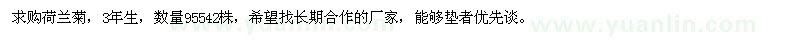 求購(gòu)荷蘭菊