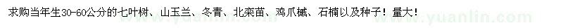 求購當(dāng)年生七葉樹、山玉蘭、冬青