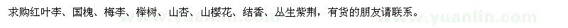 求購(gòu)紅葉李、國(guó)槐、梅李