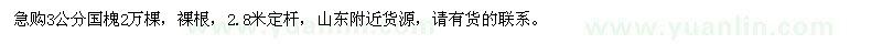 求購3公分國槐