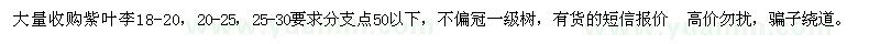 求購(gòu)18-20、20-25、25-30公分紫葉李