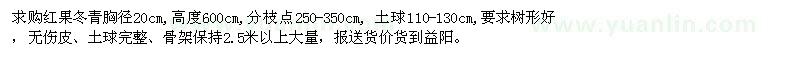 求購胸徑20公分紅果冬青