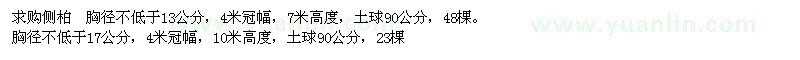 求購胸徑不低于13、17公分側(cè)柏