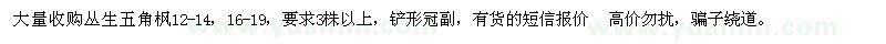 求購(gòu)12-14、16-19公分叢生五角楓