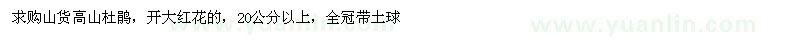 求購20公分以上高山杜鵑