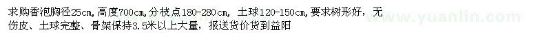求購胸徑25公分香泡