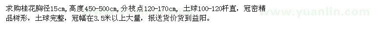 求購桂花