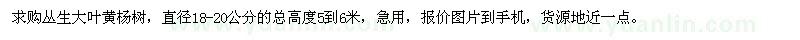 求購(gòu)直徑18-20公分叢生大葉黃楊樹(shù)