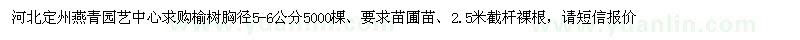求購胸徑5-6公分榆樹