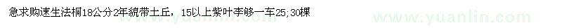 求購速生法桐、紫葉李 