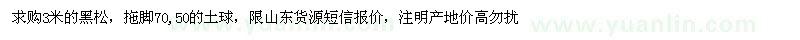 求購高3米黑松