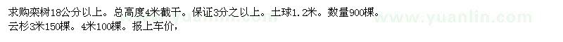 求購欒樹、云杉