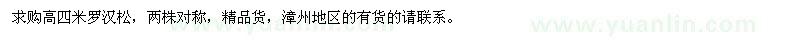 求購高四米羅漢松