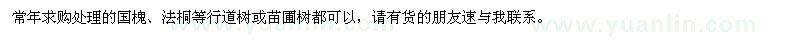 求購處理國槐、法桐等行道樹或苗圃樹