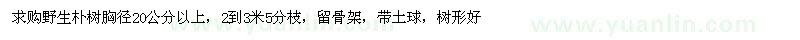 求購(gòu)胸徑20公分以上野生樸樹(shù)