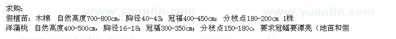 求購木棉、洋蒲桃