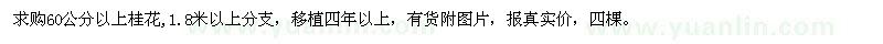 求購60公分以上桂花