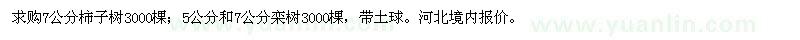 求購(gòu)柿子樹、欒樹