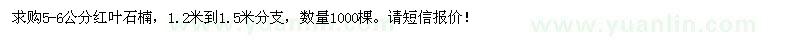 求購5-6公分紅葉石楠