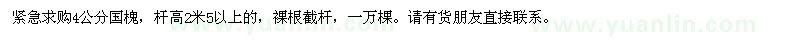 求購4公分國槐