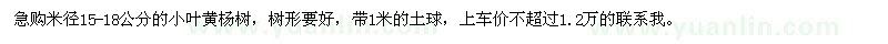 求購米徑15-18公分小葉黃楊樹
