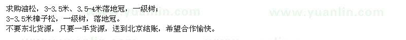 求購油松、樟子松