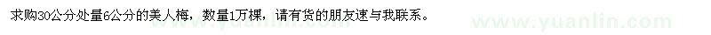 求購30公分處量6公分美人梅