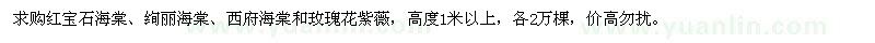 求購紅寶石海棠、絢麗海棠、西府海棠