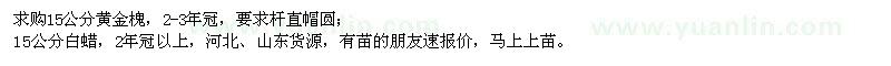 求購15公分黃金槐、白蠟