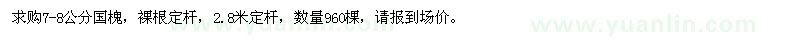 求購7-8公分國槐