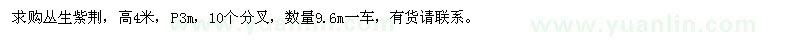 求購高4米叢生紫荊